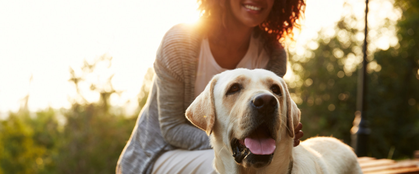 If you want a happy and healthy dog, socialization is the key.